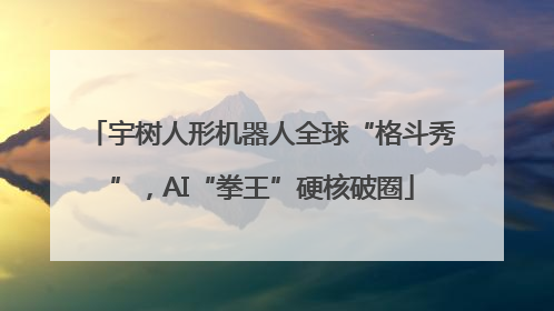宇树人形机器人全球“格斗秀”，AI“拳王”硬核破圈
