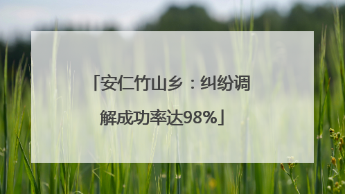 安仁竹山乡：纠纷调解成功率达98%