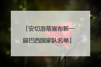 安切洛蒂宣布新一届巴西国家队名单