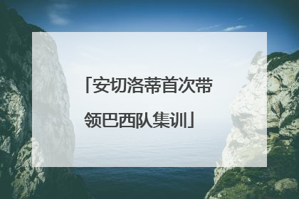安切洛蒂首次带领巴西队集训