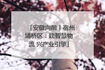 安徽向前丨宿州埇桥区：建智慧物流 兴产业引擎