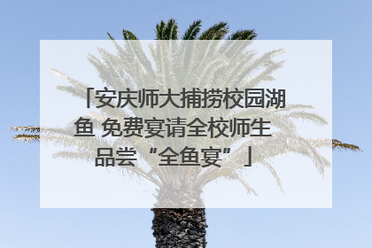 安庆师大捕捞校园湖鱼 免费宴请全校师生品尝“全鱼宴”