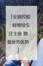 安通控股：将继续专注主业 增强业务优势