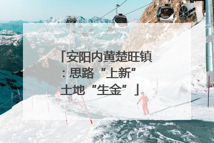 安阳内黄楚旺镇：思路“上新” 土地“生金”