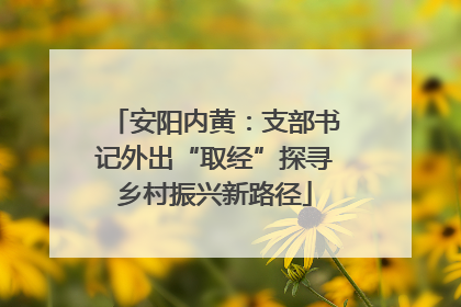 安阳内黄：支部书记外出“取经”探寻乡村振兴新路径