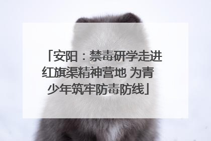 安阳：禁毒研学走进红旗渠精神营地 为青少年筑牢防毒防线