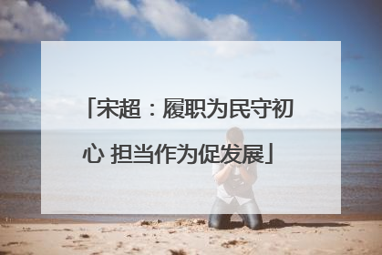 宋超：履职为民守初心 担当作为促发展