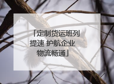 定制货运班列提速 护航企业物流畅通