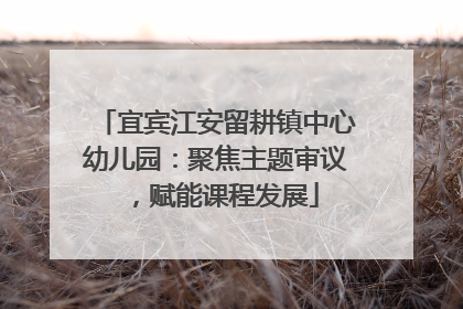 宜宾江安留耕镇中心幼儿园：聚焦主题审议，赋能课程发展