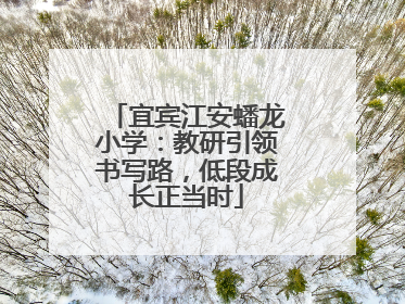 宜宾江安蟠龙小学：教研引领书写路，低段成长正当时