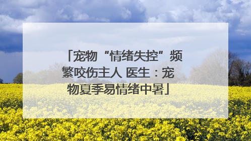 宠物“情绪失控”频繁咬伤主人 医生：宠物夏季易情绪中暑