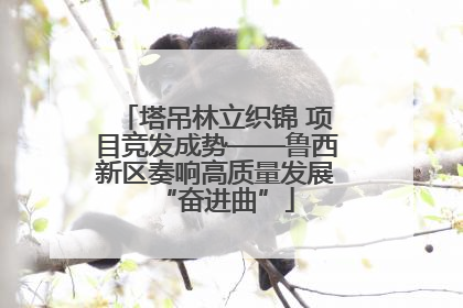 塔吊林立织锦 项目竞发成势——鲁西新区奏响高质量发展“奋进曲”
