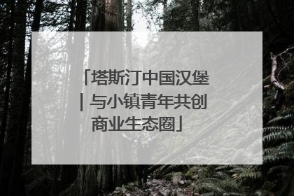 塔斯汀中国汉堡｜与小镇青年共创商业生态圈
