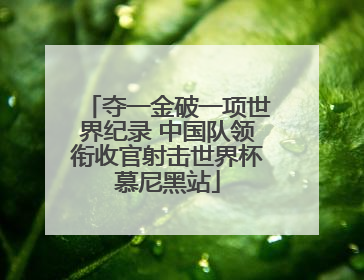 夺一金破一项世界纪录 中国队领衔收官射击世界杯慕尼黑站