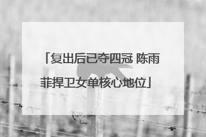 复出后已夺四冠 陈雨菲捍卫女单核心地位