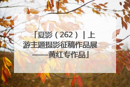 夏影（262）｜上游主题摄影征稿作品展——黄红专作品