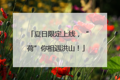 夏日限定上线，“荷”你相遇洪山！