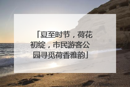 夏至时节，荷花初绽，市民游客公园寻觅荷香雅韵