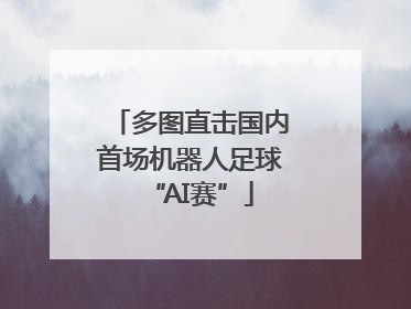 多图直击国内首场机器人足球“AI赛”