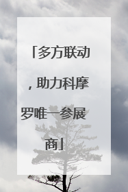 多方联动，助力科摩罗唯一参展商
