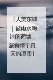 大美东城｜被雨水吻过的荷塘，藏着整个夏天的温柔