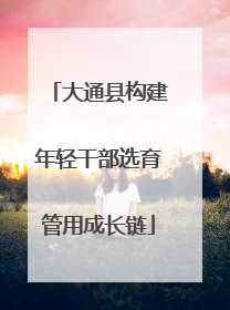 大通县构建年轻干部选育管用成长链
