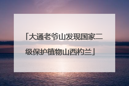 大通老爷山发现国家二级保护植物山西杓兰