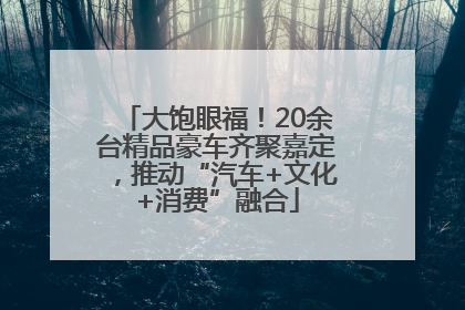 大饱眼福！20余台精品豪车齐聚嘉定，推动“汽车+文化+消费”融合