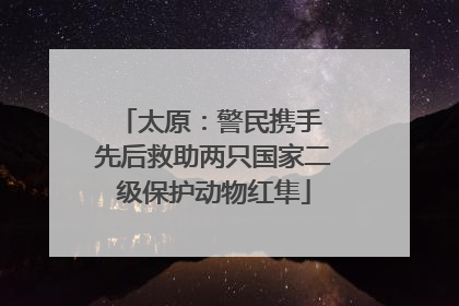 太原：警民携手 先后救助两只国家二级保护动物红隼