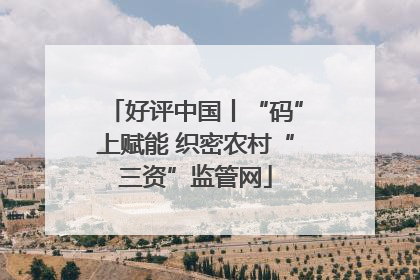 好评中国丨“码”上赋能 织密农村“三资”监管网