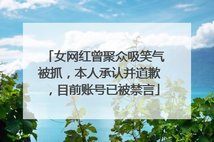 女网红曾聚众吸笑气被抓，本人承认并道歉，目前账号已被禁言