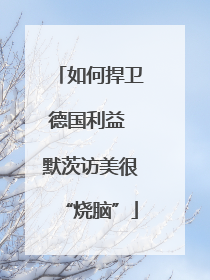 如何捍卫德国利益 默茨访美很“烧脑”
