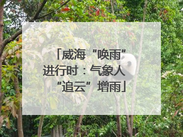威海“唤雨”进行时：气象人“追云”增雨