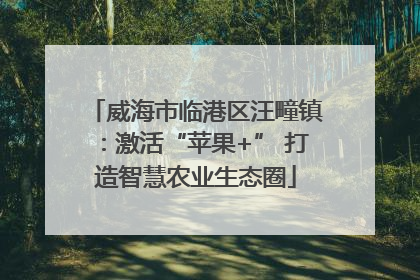威海市临港区汪疃镇：激活“苹果+” 打造智慧农业生态圈