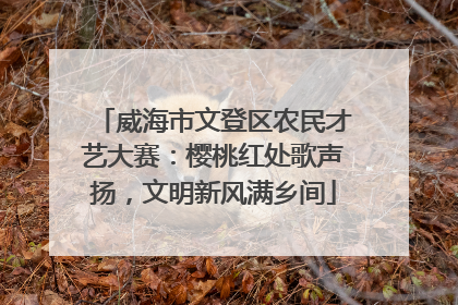 威海市文登区农民才艺大赛：樱桃红处歌声扬，文明新风满乡间