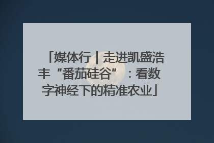 媒体行｜走进凯盛浩丰“番茄硅谷”：看数字神经下的精准农业