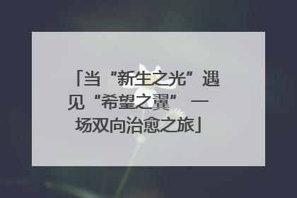当“新生之光”遇见“希望之翼” 一场双向治愈之旅