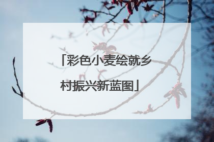 彩色小麦绘就乡村振兴新蓝图