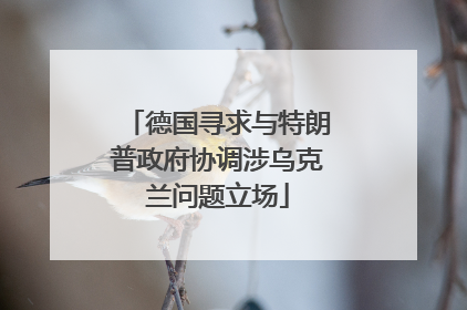 德国寻求与特朗普政府协调涉乌克兰问题立场