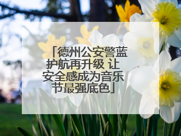德州公安警蓝护航再升级 让安全感成为音乐节最强底色
