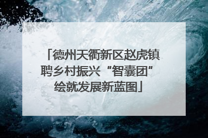 德州天衢新区赵虎镇聘乡村振兴“智囊团” 绘就发展新蓝图