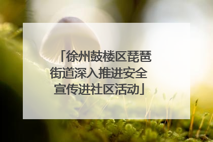徐州鼓楼区琵琶街道深入推进安全宣传进社区活动