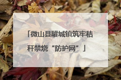 微山县驩城镇筑牢秸秆禁烧“防护网”