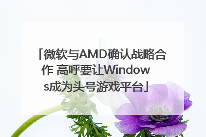 微软与AMD确认战略合作 高呼要让Windows成为头号游戏平台