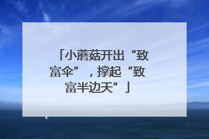 小蘑菇开出“致富伞”，撑起“致富半边天”