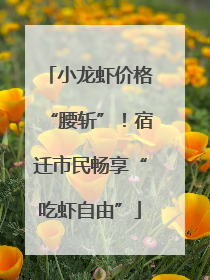 小龙虾价格“腰斩”！宿迁市民畅享“吃虾自由”