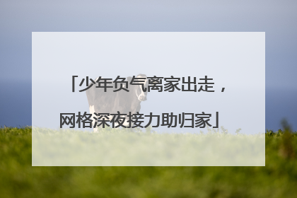 少年负气离家出走，网格深夜接力助归家