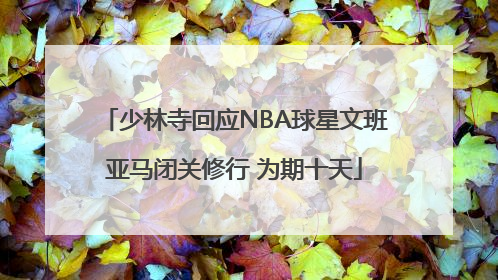 少林寺回应NBA球星文班亚马闭关修行 为期十天
