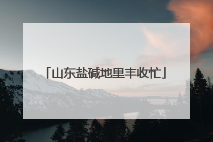 山东盐碱地里丰收忙