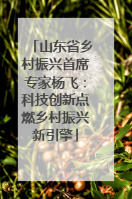 山东省乡村振兴首席专家杨飞：科技创新点燃乡村振兴新引擎